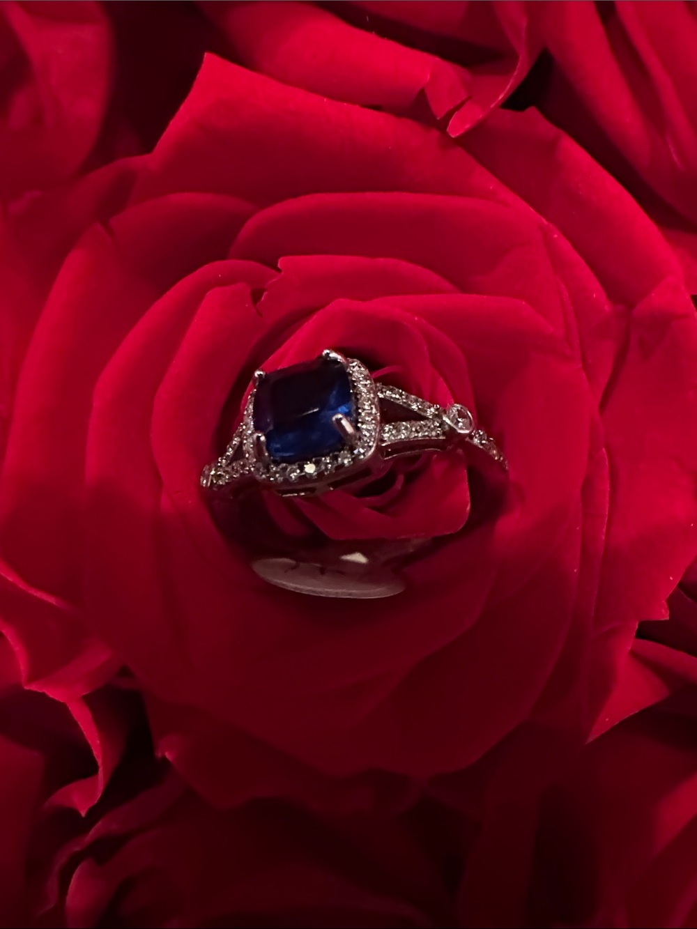 Blue Cushion Halo Ring with Pavé Band - Women's Jewelry 925 silver